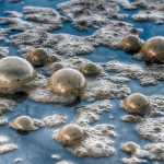 When the tide comes in on the Mendenhall River.