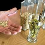 Alaskan Brewing Co. brewer Steve Sano hold light malt grains next to other ingredients that could be used in the homebrewing process on Wednesday.
