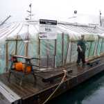 Russell Peterson with his 1926 boat, the Seal, in Aurora Harbor on Thursday, Nov. 3, 2016. Peterson has lived in Aurora Harbor for 13 years.