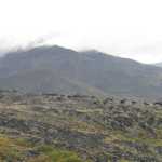 A herd of caribou in the Central Brooks Range.