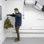 Giono Barrett, of Rainforest Farms, hangs the first cannibis plant in a humidity and temperature controlled drying room at their Juneau facility on Tuesday, Nov. 8, 2016.