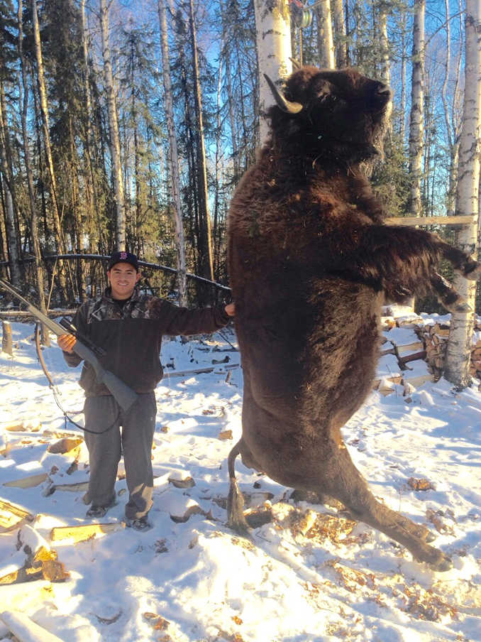 Local kid filled his Bison tag: Dillon Tomaro in Delta Junction on Nov. 12.