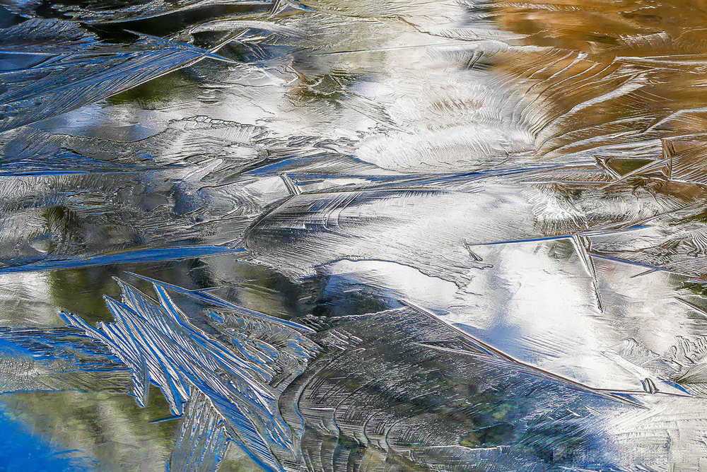 Ice patterns in the muskeg, part II.