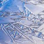 Ice patterns in the muskeg, Part I.