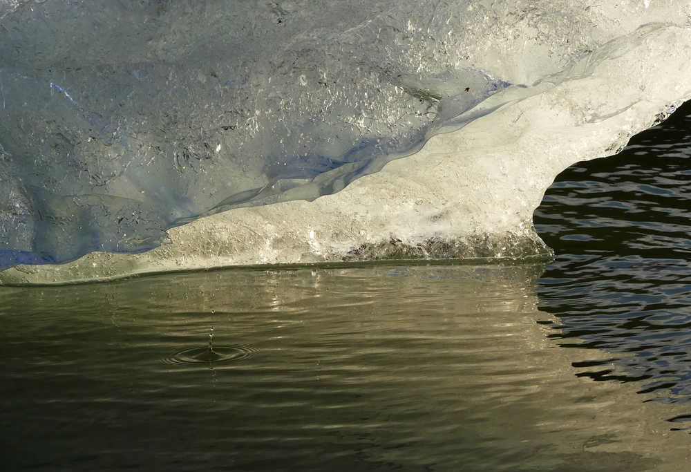 Iceberg succumbing to the afternoon sun on Mendenhall Lake.