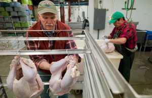 Alaska Seafood Company owner Richard Hand, left, and Jeff Isturis prepare on Wednesday, Nov. 23, 2016, some of the 50 turkeys to be smoked for the annual Salvation Army Thanksgiving dinner at The Hangar today starting at 11 a.m. Over 530 people attended last year. Hand has volunteered his company's services to prepare the turkeys for the last 10 years.