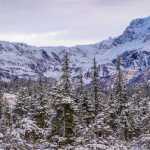 First snow panorama from Spaulding Meadows.