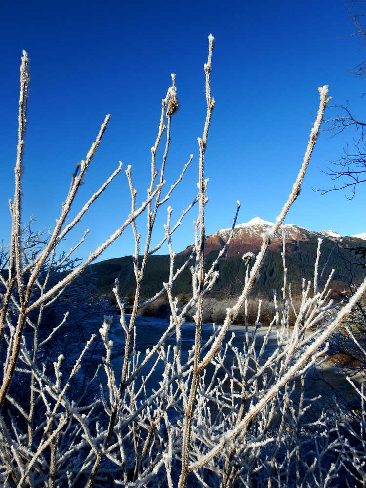 Mount McGinnis framed by frosty branches on Nov. 20.