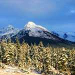 Winter meadow, trees and Mts. McGinnis and Stroller White from Lake Creek Trail on Nov. 23.