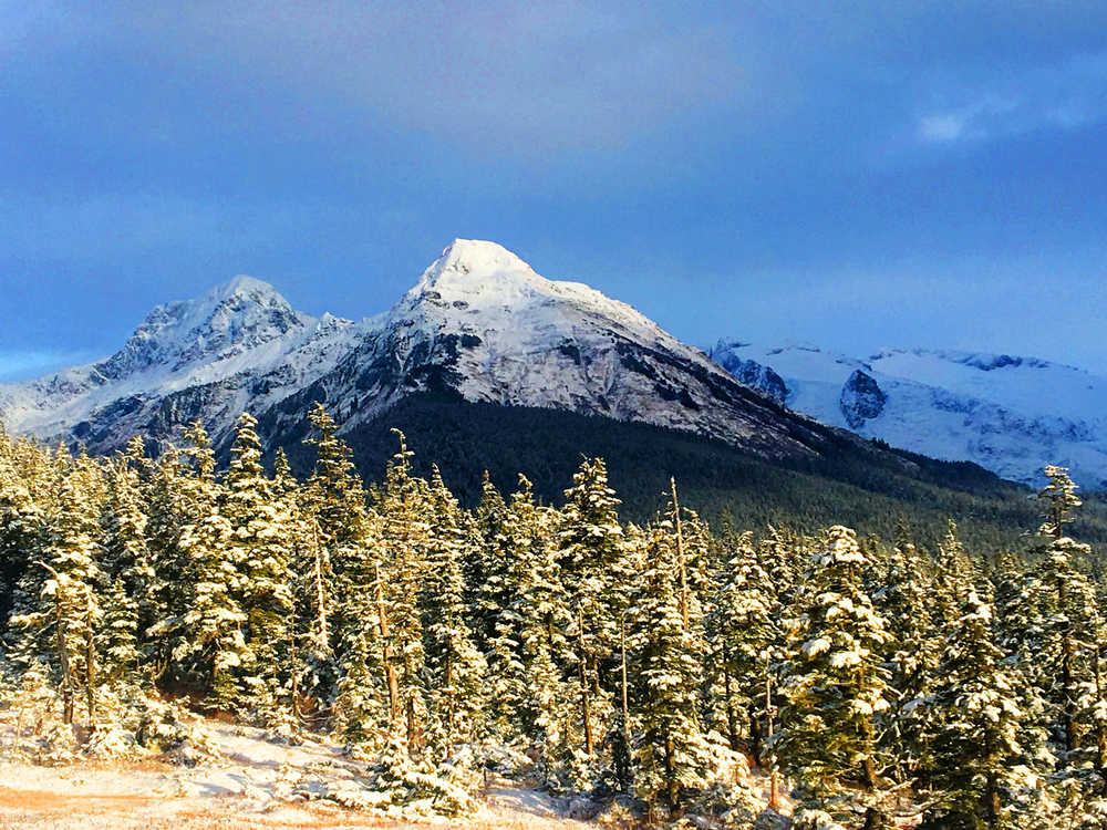 Winter meadow, trees and Mts. McGinnis and Stroller White from Lake Creek Trail on Nov. 23.