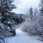 Thunder Mountain viewed through a winter wonderland on Nov. 26.