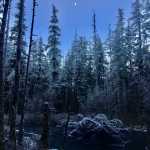 Near Herbert Glacier, at first light.