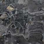 Ice doodle at the Mendenhall Glacier.