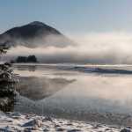 High tide on the Mendenhall Wetlands.