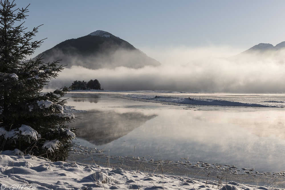 High tide on the Mendenhall Wetlands.