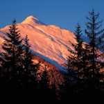 A pink Mount McGinnis.