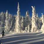 Snowshoeing solo, Spaulding Meadow on Dec. 23.