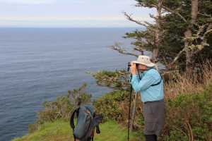 ADVANCE FOR USE SATURDAY, DEC. 31, 2016, AND THEREAFTER- FILE--In this March 20, 2015, file photo, Jim Border, who volunteers to help members of the public spot whales during Spoken Here Whale Watching Week on the Oregon Coast, scans the horizon for signs of spouts from the tip of Cape Lookout, near Tillamook, Ore. (Zach Urness/Statesman-Journal via AP, File)