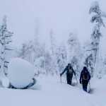 Onward through the storm - fresh snow in Spaulding Meadows on Dec. 28.