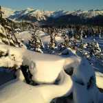Snow, snow, snow near Auke Mountain.