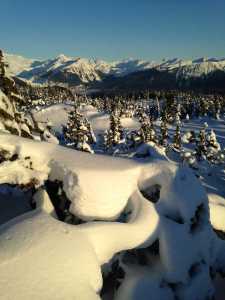 Snow, snow, snow near Auke Mountain.