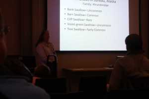 Brenda Wright's talk on "Where Have the Tree Swallows Gone?" at the Mendenhall Valley Public Library. Pictured is a Brenda Wright talking about how common or how rare different kinds of swallows are in Juneau.