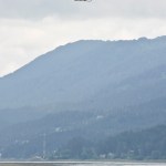 A Temsco helicopter joins the search for possible missing woman Kristina Elizabeth Young, 36, on Monday after her brother George Benjamin Young, 40, was found dead in Lemon Creek on Sunday.