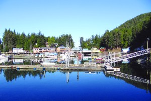 Elfin Cove's inner harbor, September 2010.