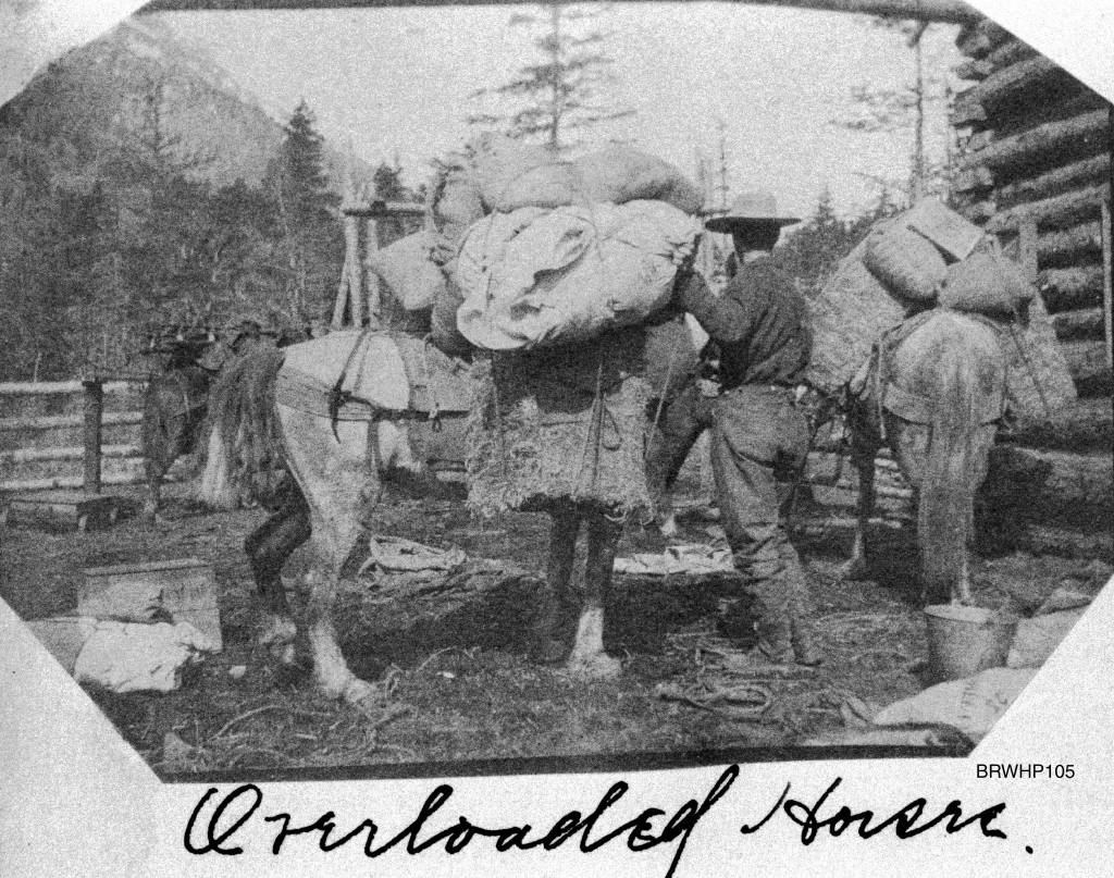 Overloaded Horse, looking north on the White Pass Trail, circa summer 1898. The building on the right is probably located around five miles outside Skagway based on the captions on other photographs of the same building. (Courtesy Photo | National Park Service, Klondike Gold Rush National Historical Park, Brackett Family Collection, BRWHP105, KLGO BW-73-5346)