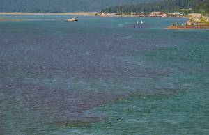 Reddish-brown patches in the water of Gastineau Channel as seen from the Douglas Bridge on Tuesday, July 31, 2018. (Michael Penn | Juneau Empire)