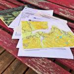 Subsistence paperwork for the Alaska Department of Fish and Game (Vivian Faith Prescott | Capital City Weekly)