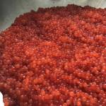 Bowl of dog salmon eggs, removed from skein (Vivian Faith Prescott | Capital City Weekly)