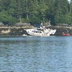 Tourists inspect their aground boat as the tide retreats, hoping its undamaged. (Robin Neilson | For the Capital City Weekly)