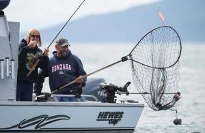 Scott and Shari Guenther pull in a catch during the 72nd Annual Golden North Salmon Derby on Friday, August 17, 2018, sponsored by the Territorial Sportsmen. (Michael Penn | Juneau Empire)