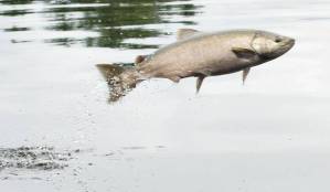 Ballot Measure 1 forum set for Monday