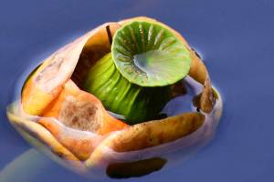 Art in Unusual Places