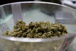 Marijuana sits in a bowl from which it is packaged and sold to customers, at The Station, a medical and retail cannabis dispensary, in Boulder, Colorado., Thursday, Aug. 11.