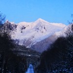 At the end of the road on Jan. 20. (Denise Carroll)