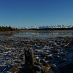Homer Panorama early January. (Linda Shaw)