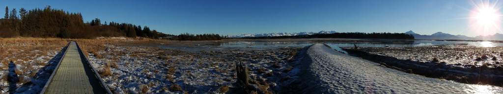 Homer Panorama early January. (Linda Shaw)
