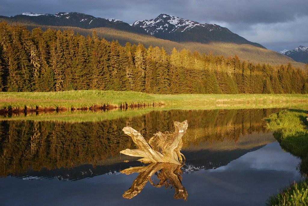 A ray of sunlight. (Photo by Janice Gorle)