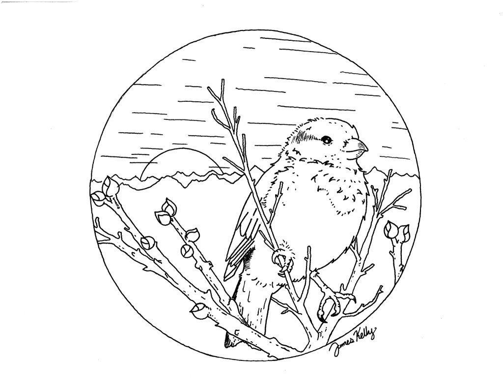 In the Works with James Kelly, illustrator and graphic designer