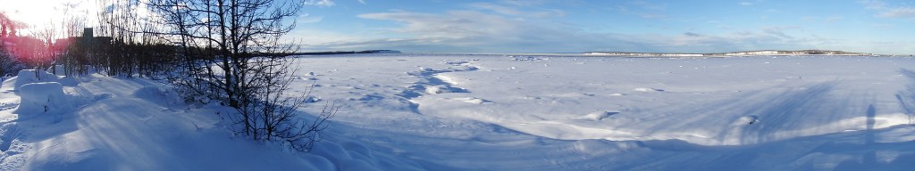Cook Inlet panorama. (Photo by Linda Shaw)