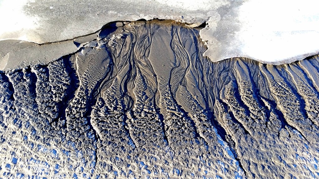 Patterns in the silt on the edge of frozen Mendenhall Lake. Photo by Vanessa Sinclair