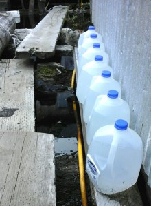 Keeping stocked up on water for the cold spells is essential. (Tara Neilson | For the Capital City Weekly)