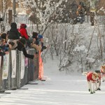 Matt Hall drives his team down the finish chute as he wins the 2017 Yukon Quest International Sled Dog Race on Tuesday in Fairbanks. The 1,000 race began in Whitehorse, Yukon, Canada just over 10 days ago. (Eric Engman | Fairbanks Daily News-Miner)