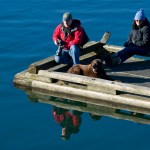 James Zuelow waits to photograph sea lions with Roxie Duckworth and Bayley at the end of the boat ramp at the Don D. Statter Memorial Boat Harbor in Auke Bay on Monday, Feb. 20, 2017. (Michael Penn | Juneau Empire)
