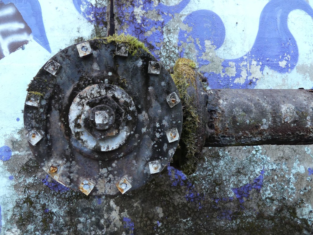 Artful pipe ruin at Treadwell. Photo by Brooke Daly