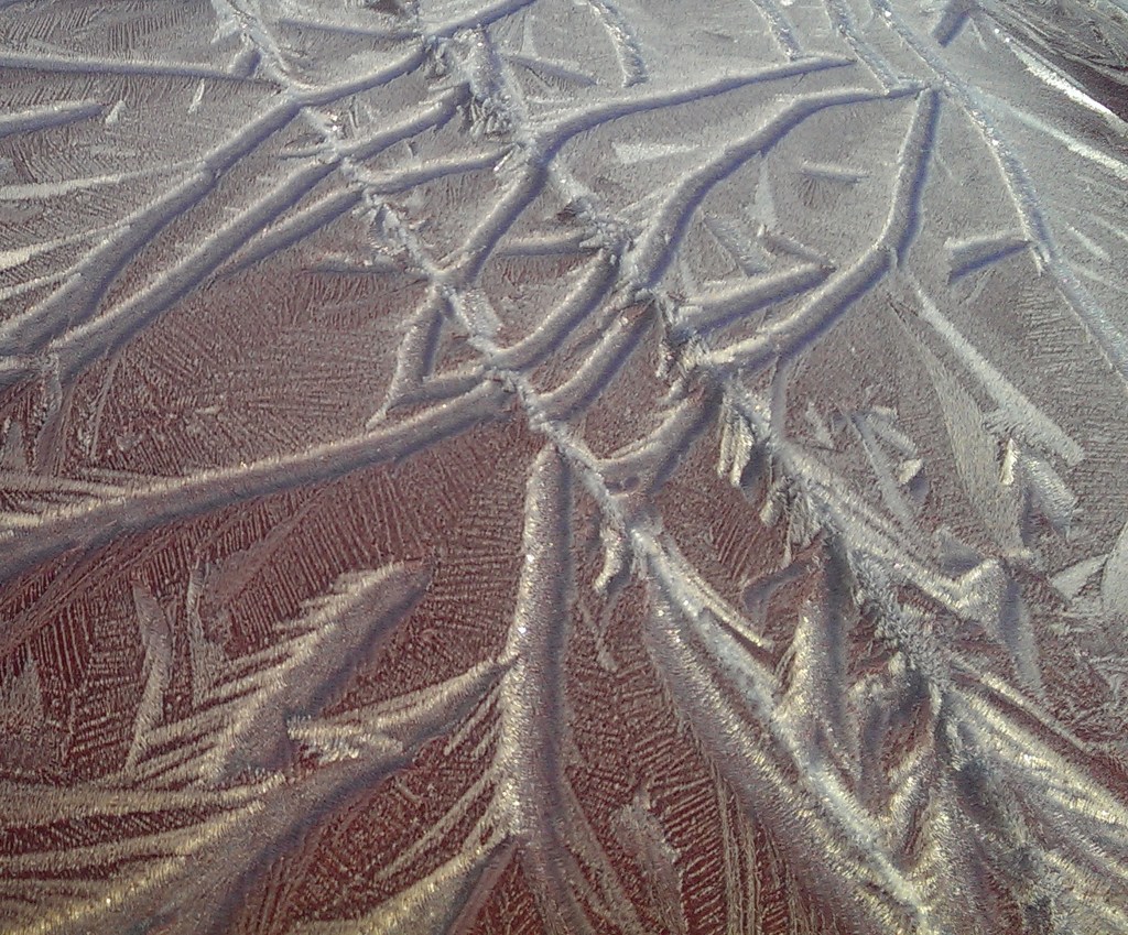 Frost on the hood of Ron Taug&rsquo;s Ford Ranger. Photo by Ron Taug.