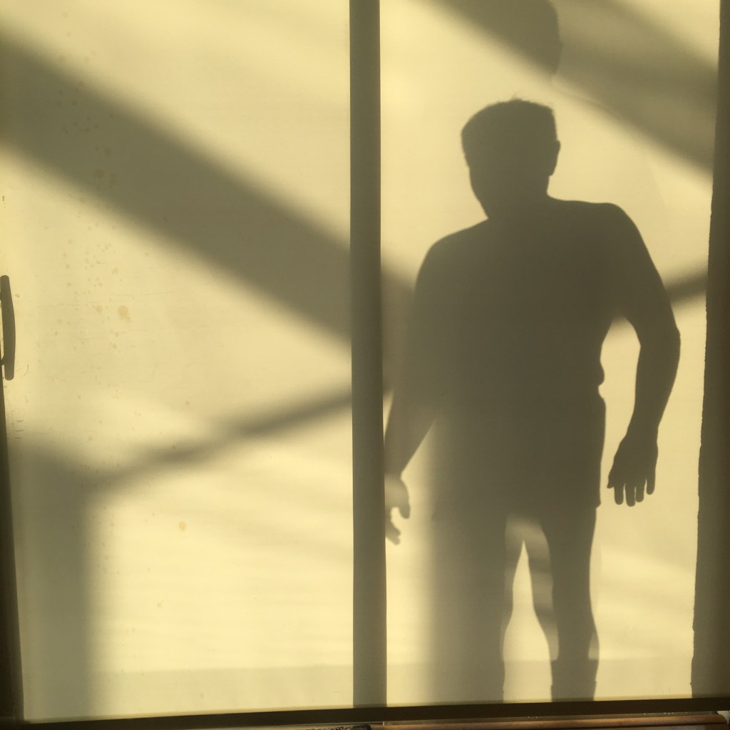 Silhouettes on a shade. Photo by Denise Carrol.